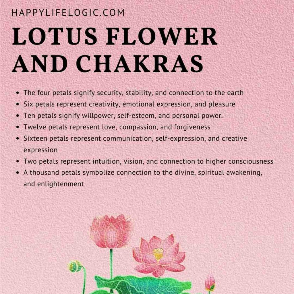 lotus flower spiritual meaning